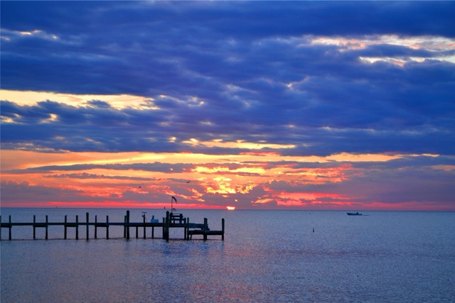 Chesapeake Bay aerial view